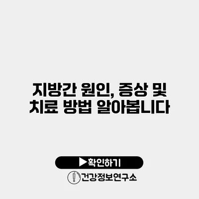 지방간 원인, 증상 및 치료 방법 알아봅니다