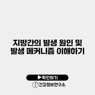 지방간의 발생 원인 및 발생 메커니즘 이해하기