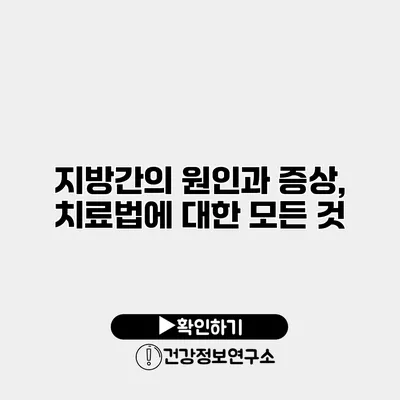 지방간의 원인과 증상, 치료법에 대한 모든 것