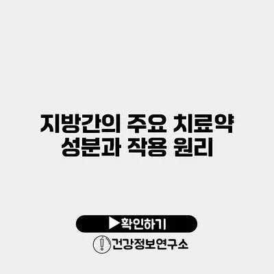 지방간의 주요 치료약 성분과 작용 원리