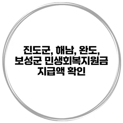 진도군, 해남, 완도, 보성군 민생회복지원금 지급액 확인