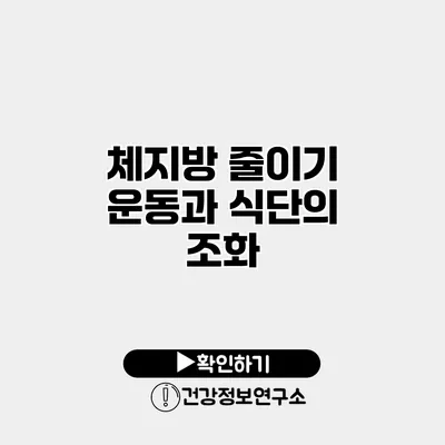 체지방 줄이기 운동과 식단의 조화