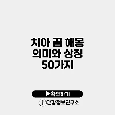 치아 꿈 해몽 의미와 상징 50가지