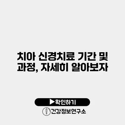 치아 신경치료 기간 및 과정, 자세히 알아보자