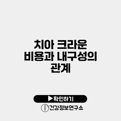 치아 크라운 비용과 내구성의 관계