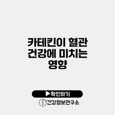 카테킨이 혈관 건강에 미치는 영향