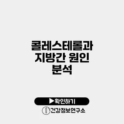 콜레스테롤과 지방간 원인 분석