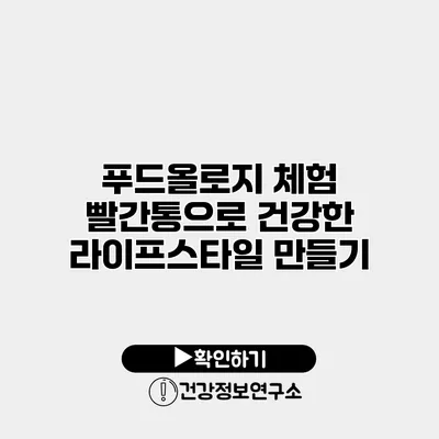 푸드올로지 체험 빨간통으로 건강한 라이프스타일 만들기