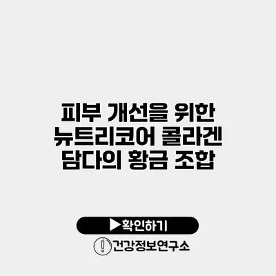 피부 개선을 위한 뉴트리코어 콜라겐 담다의 황금 조합