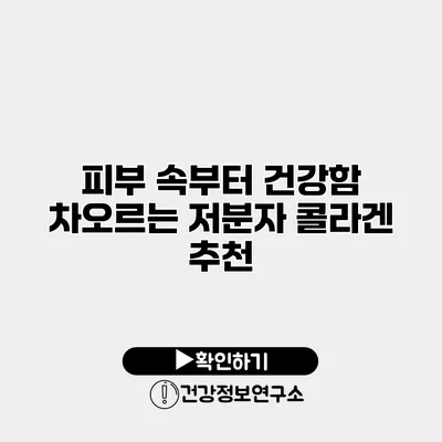 피부 속부터 건강함 차오르는 저분자 콜라겐 추천