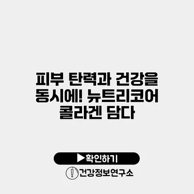피부 탄력과 건강을 동시에! 뉴트리코어 콜라겐 담다