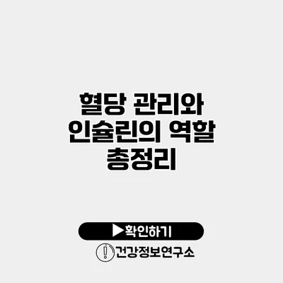 혈당 관리와 인슐린의 역할 총정리