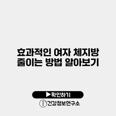 효과적인 여자 체지방 줄이는 방법 알아보기