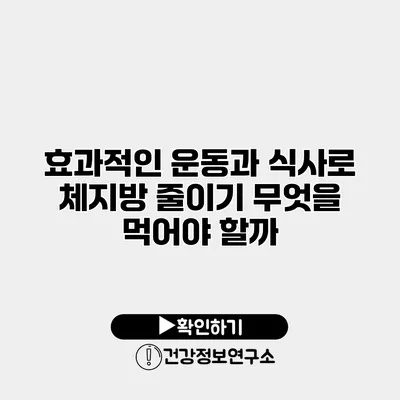 효과적인 운동과 식사로 체지방 줄이기 무엇을 먹어야 할까?