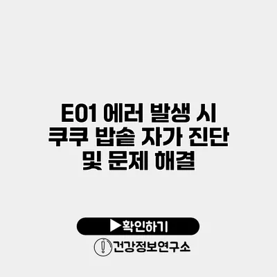 E01 에러 발생 시 쿠쿠 밥솥 자가 진단 및 문제 해결