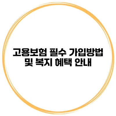 고용보험 필수 가입방법 및 복지 혜택 안내