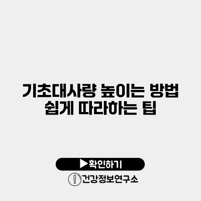 기초대사량 높이는 방법 쉽게 따라하는 팁