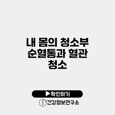 내 몸의 청소부 순혈통과 혈관 청소
