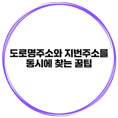도로명주소와 지번주소를 동시에 찾는 꿀팁