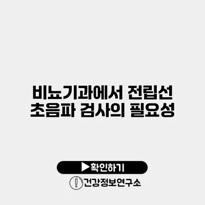 비뇨기과에서 전립선 초음파 검사의 필요성