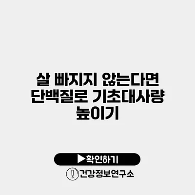 살 빠지지 않는다면? 단백질로 기초대사량 높이기