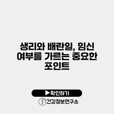 생리와 배란일, 임신 여부를 가르는 중요한 포인트