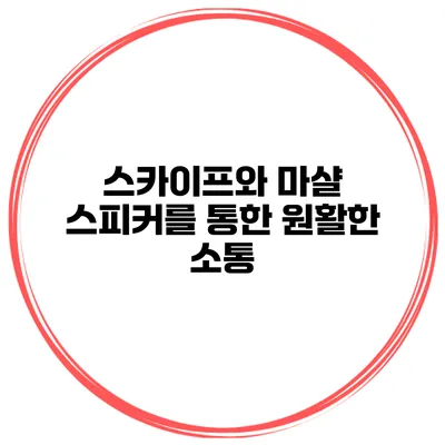스카이프와 마샬 스피커를 통한 원활한 소통