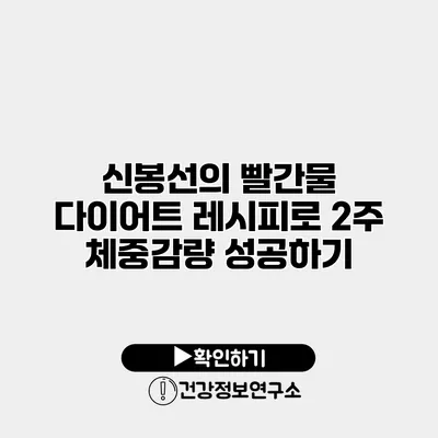 신봉선의 빨간물 다이어트 레시피로 2주 체중감량 성공하기