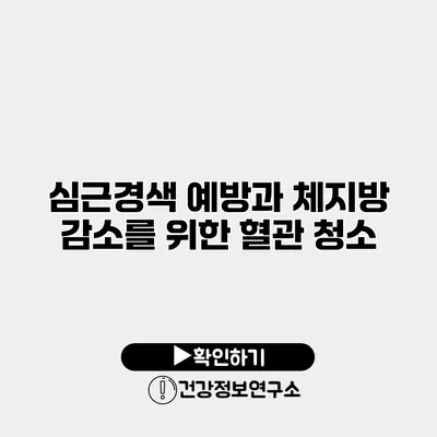 심근경색 예방과 체지방 감소를 위한 혈관 청소