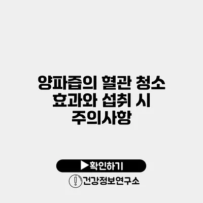 양파즙의 혈관 청소 효과와 섭취 시 주의사항