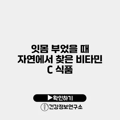 잇몸 부었을 때 자연에서 찾은 비타민 C 식품