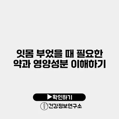 잇몸 부었을 때 필요한 약과 영양성분 이해하기