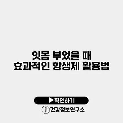 잇몸 부었을 때 효과적인 항생제 활용법
