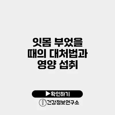 잇몸 부었을 때의 대처법과 영양 섭취