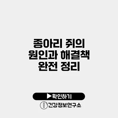종아리 쥐의 원인과 해결책 완전 정리