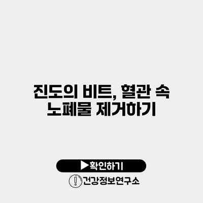 진도의 비트, 혈관 속 노폐물 제거하기