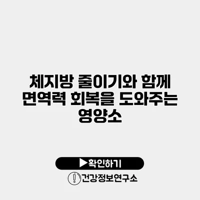 체지방 줄이기와 함께 면역력 회복을 도와주는 영양소