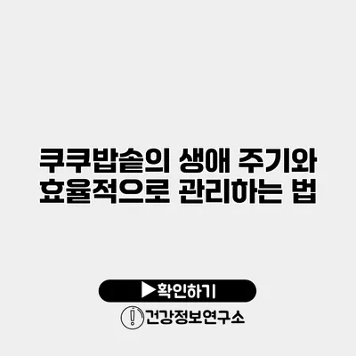쿠쿠밥솥의 생애 주기와 효율적으로 관리하는 법