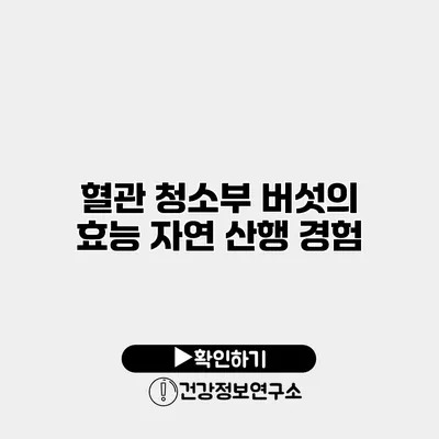 혈관 청소부 버섯의 효능 자연 산행 경험