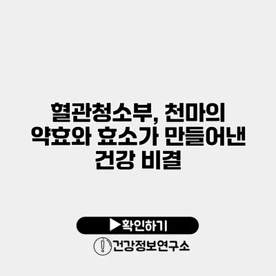 혈관청소부, 천마의 약효와 효소가 만들어낸 건강 비결