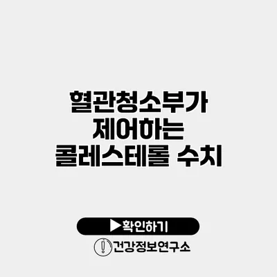 혈관청소부가 제어하는 콜레스테롤 수치