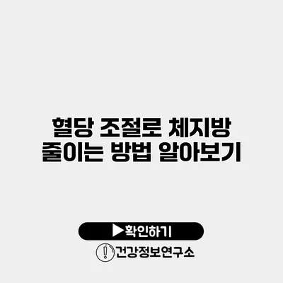 혈당 조절로 체지방 줄이는 방법 알아보기