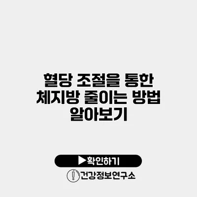 혈당 조절을 통한 체지방 줄이는 방법 알아보기